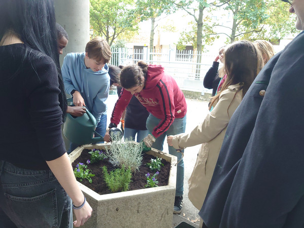 Sch&uuml;ler und Sch&uuml;lerinnen pflanzen gemeinsam